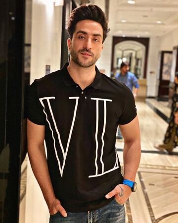 "Aly Goni Bigg Boss 14"